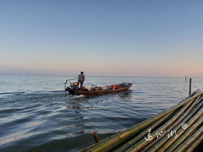 阳澄湖蟹农清晨上湖图
