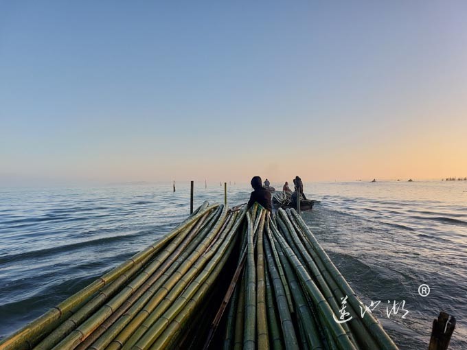阳澄湖蟹农清晨上湖图