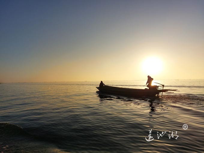 阳澄湖蟹农清晨上湖图