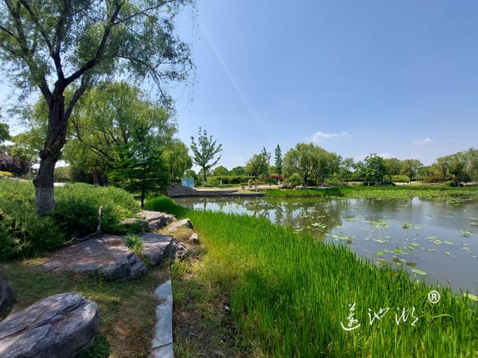 阳澄湖半岛莲池湖公园