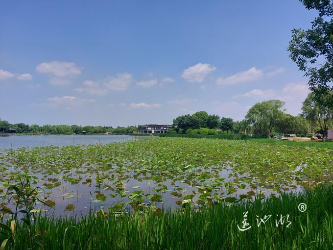 阳澄湖半岛莲池湖公园
