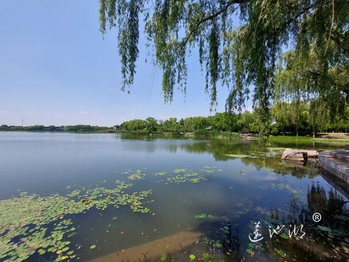 阳澄湖半岛莲池湖公园