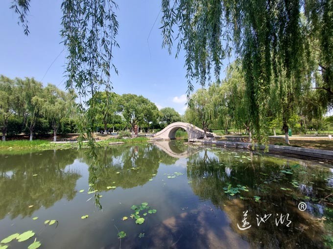 阳澄湖半岛莲池湖公园