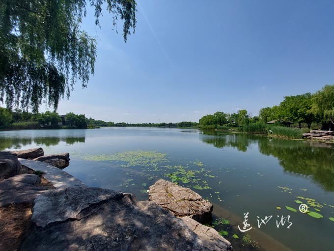 阳澄湖半岛莲池湖公园