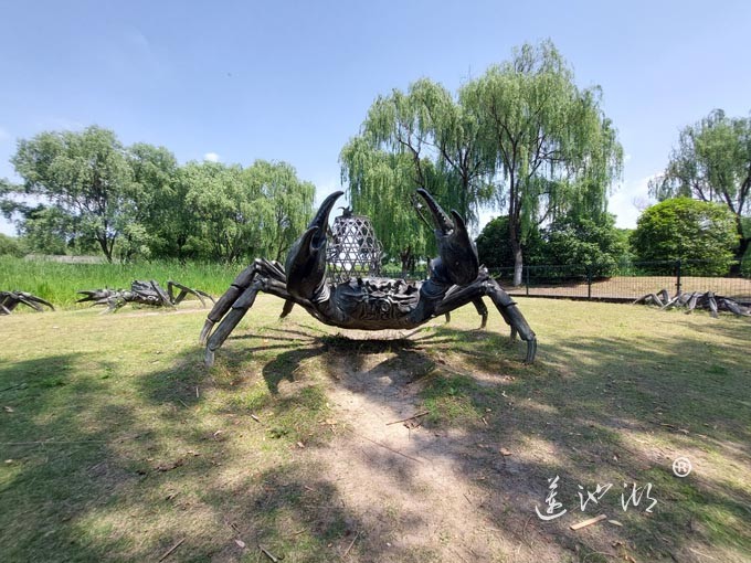 阳澄湖半岛莲池湖公园