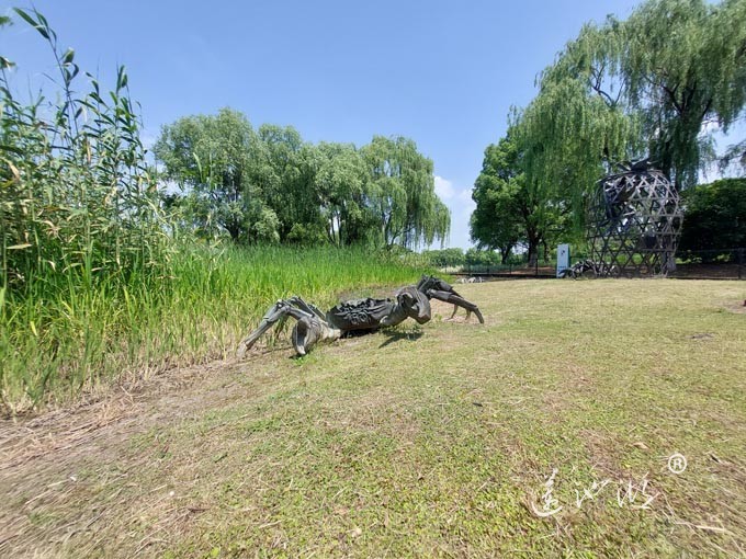 阳澄湖半岛莲池湖公园