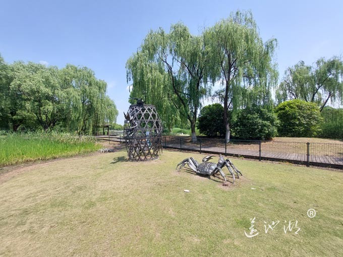 阳澄湖半岛莲池湖公园