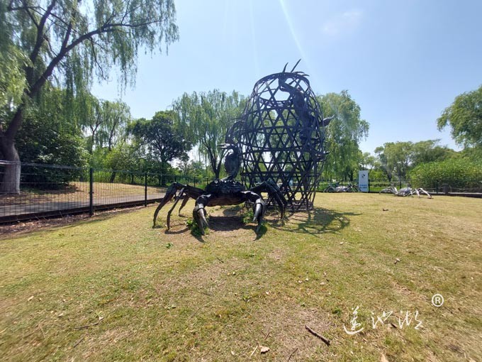 阳澄湖半岛莲池湖公园