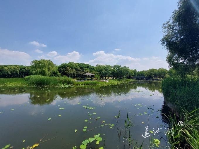 阳澄湖半岛莲池湖公园