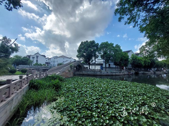 【阳澄湖畔】绰墩山村的风景