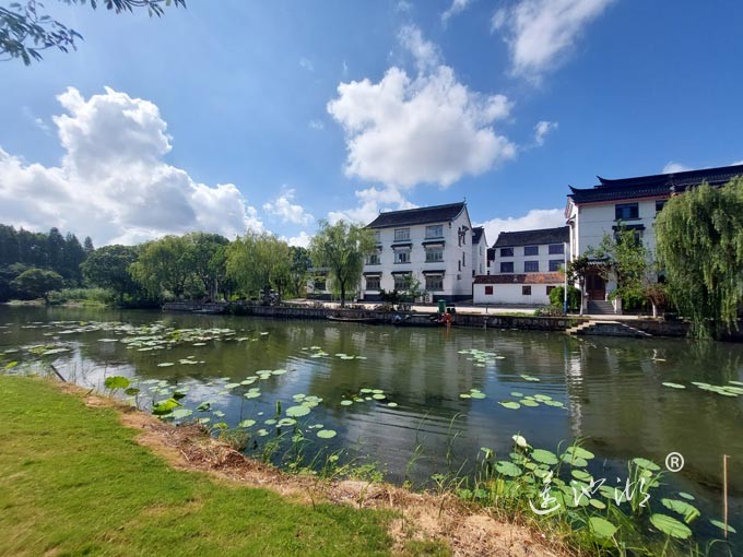 【阳澄湖畔】绰墩山村的风景