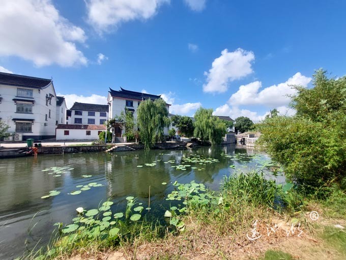 【阳澄湖畔】绰墩山村的风景