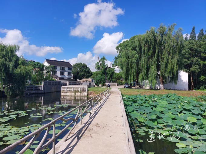 【阳澄湖畔】绰墩山村的风景