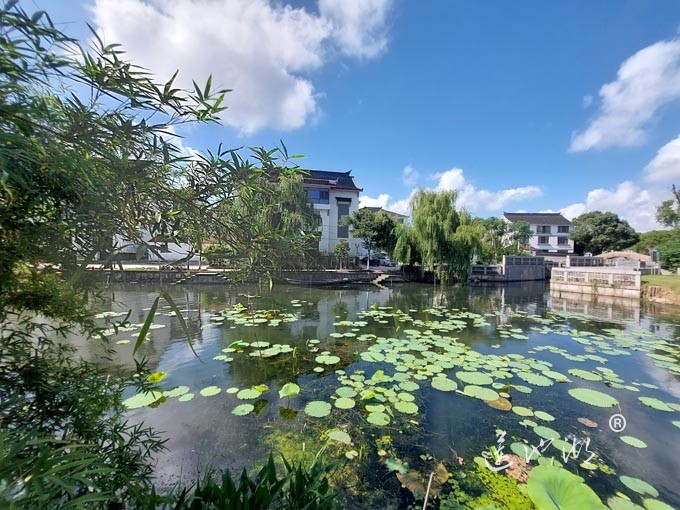 【阳澄湖畔】绰墩山村的风景