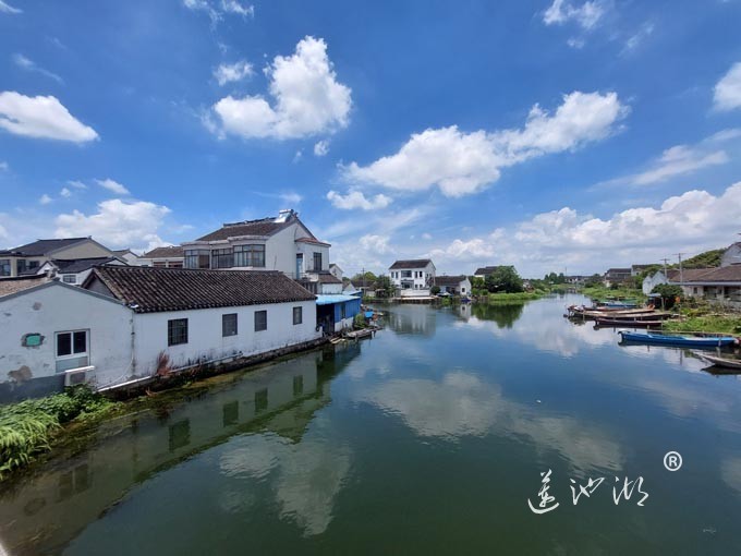 【阳澄湖畔】美人腿的风景