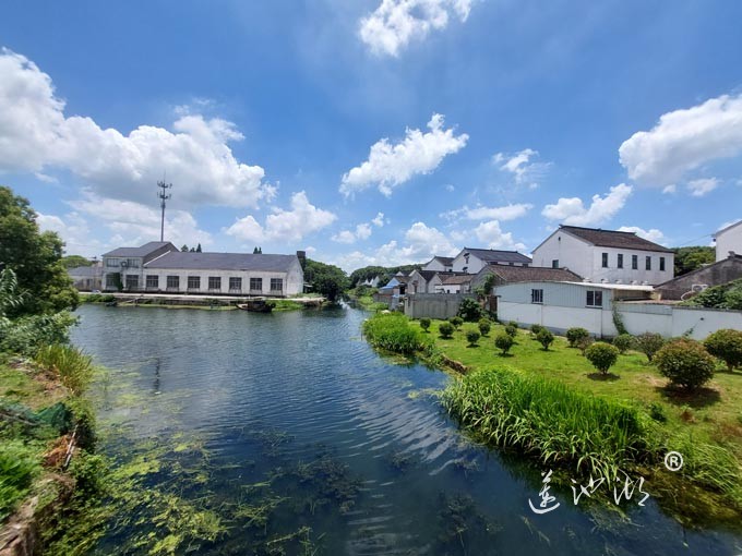 【阳澄湖畔】美人腿的风景