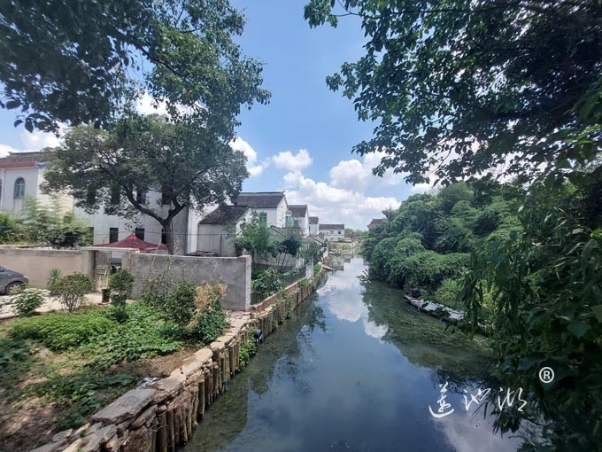 【阳澄湖畔】美人腿的风景