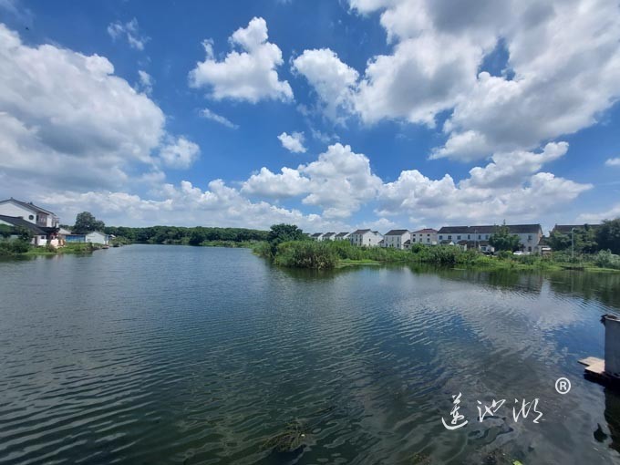 【阳澄湖畔】美人腿的风景