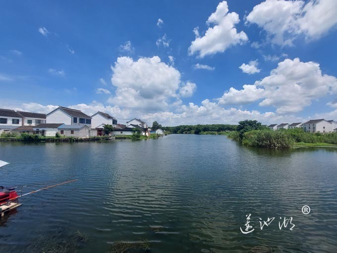 【阳澄湖畔】美人腿的风景