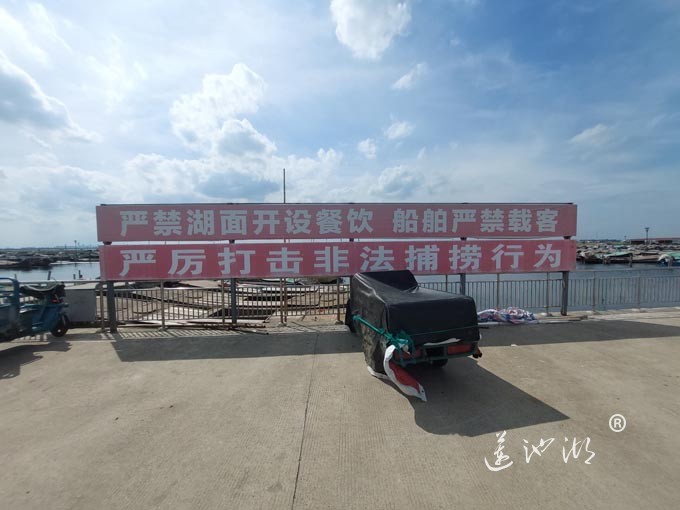 【阳澄湖畔】阳澄湖蟹农码头的风景