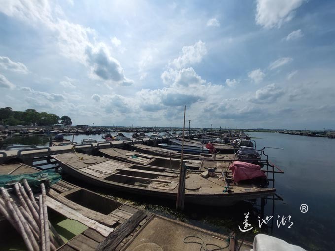 【阳澄湖畔】阳澄湖蟹农码头的风景