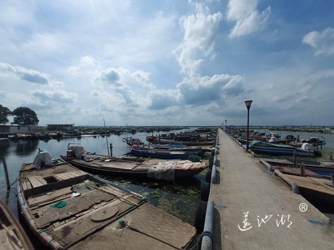【阳澄湖畔】阳澄湖蟹农码头的风景