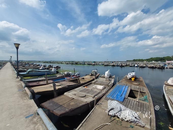 【阳澄湖畔】阳澄湖蟹农码头的风景