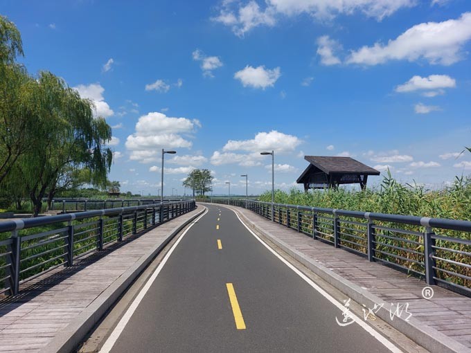【阳澄湖畔】阳澄湖半岛自行车道的风景