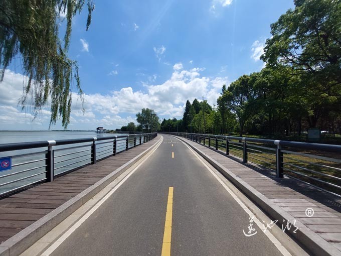 【阳澄湖畔】阳澄湖半岛自行车道的风景