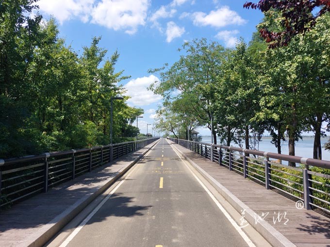 【阳澄湖畔】阳澄湖半岛自行车道的风景