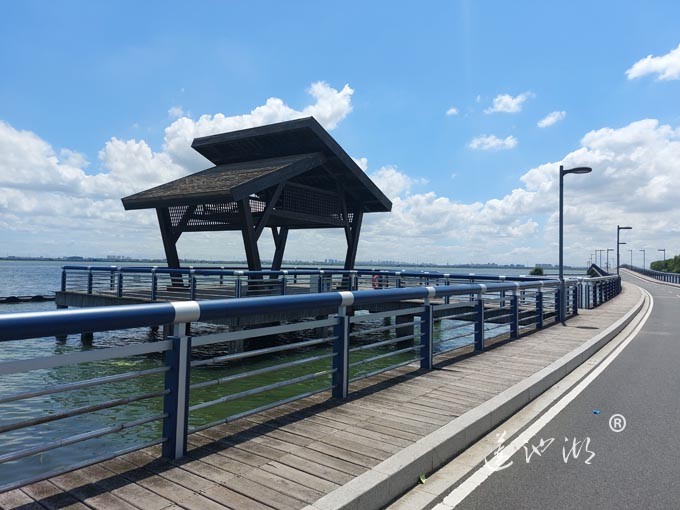 【阳澄湖畔】阳澄湖半岛自行车道的风景