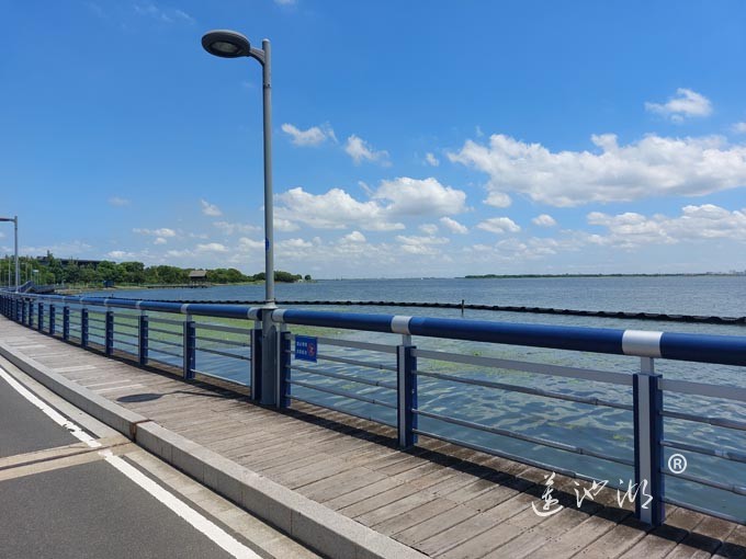 【阳澄湖畔】阳澄湖半岛自行车道的风景