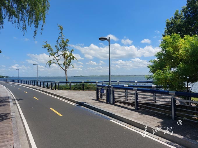 【阳澄湖畔】阳澄湖半岛自行车道的风景