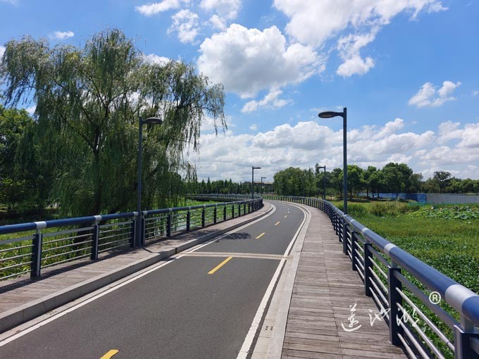 【阳澄湖畔】阳澄湖半岛自行车道的风景