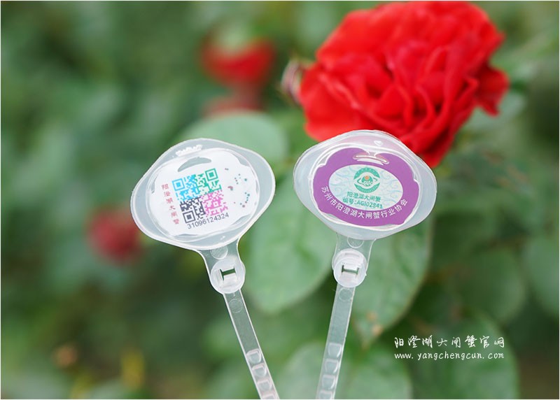 阳澄湖大闸蟹防伪蟹扣