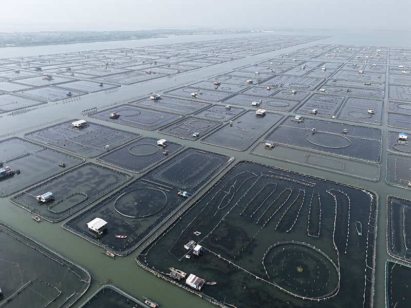 阳澄湖大闸蟹养殖基地