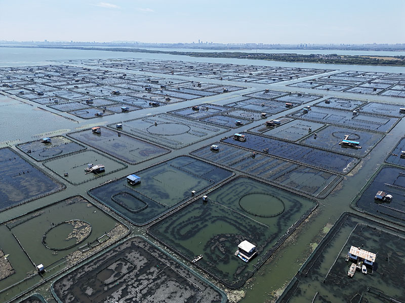 阳澄湖大闸蟹养殖基地