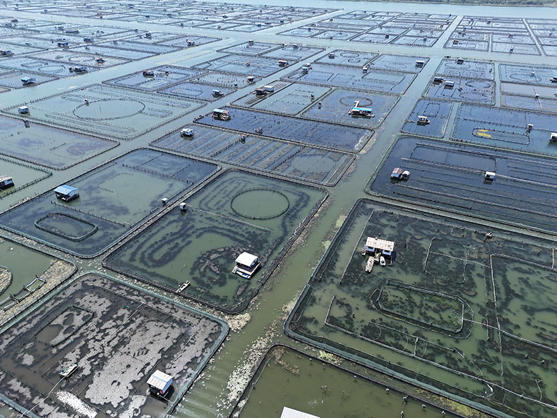 阳澄湖大闸蟹养殖基地