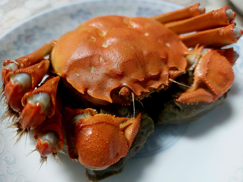 阳澄湖大闸蟹
