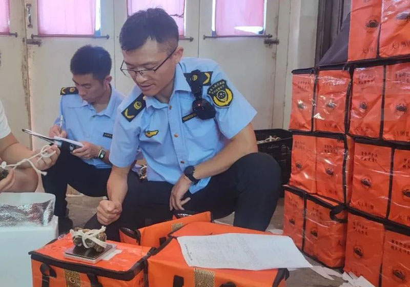 打击大闸蟹市场虚假行为，市场监督重拳出击！