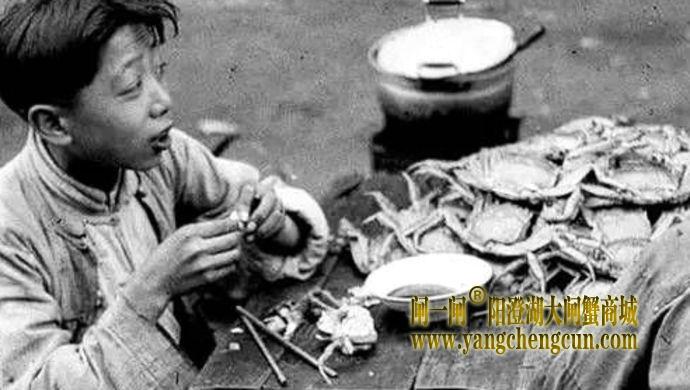 1945年的上海贫困家庭，靠吃阳澄湖大闸蟹勉强度日