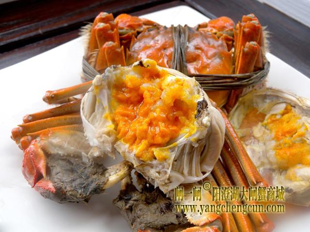 阳澄湖大闸蟹