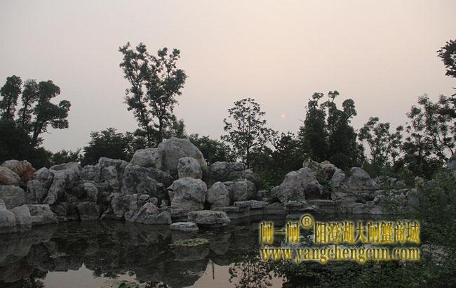 阳澄湖半岛仙樱湖公园