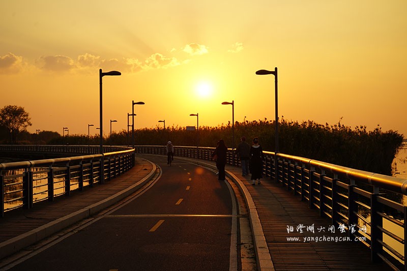 黄昏之美：阳澄湖半岛的夕阳印象