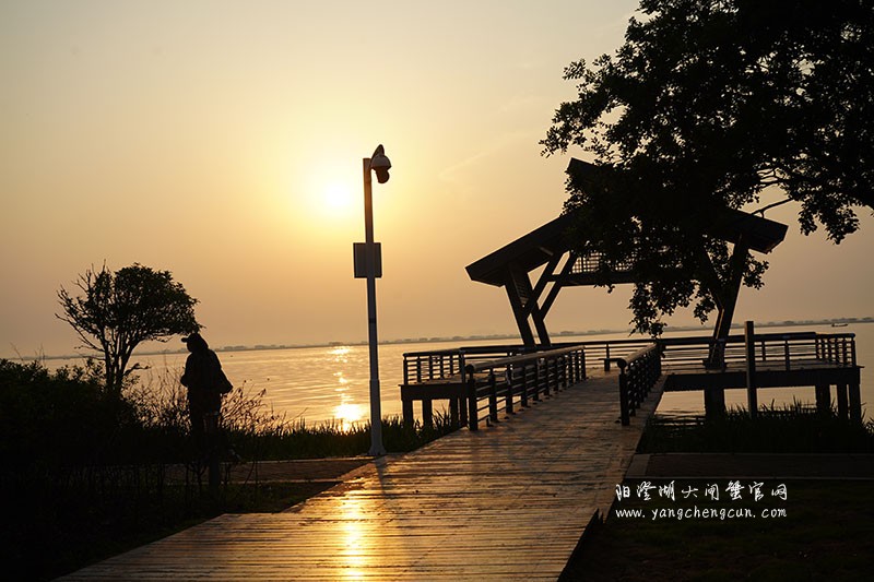 阳澄湖半岛看阳澄湖日出