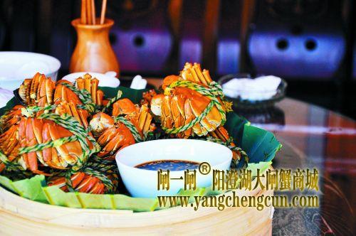 吃蟹季 别让自己“丢盔‘蟹’甲”