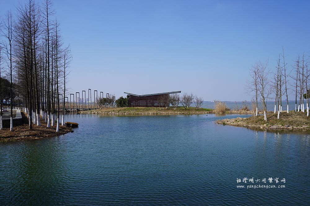 冬日暖阳阳澄湖生态湿地公园