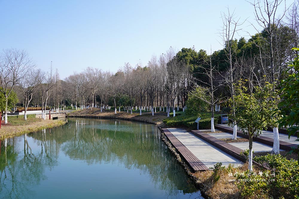 冬日暖阳阳澄湖生态湿地公园