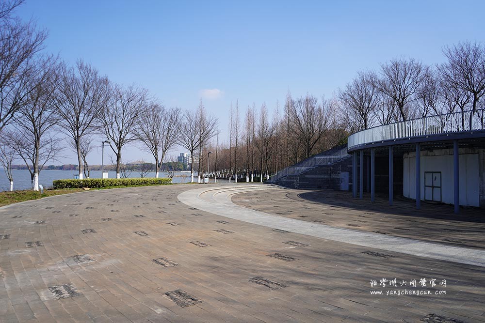 冬日暖阳阳澄湖生态湿地公园