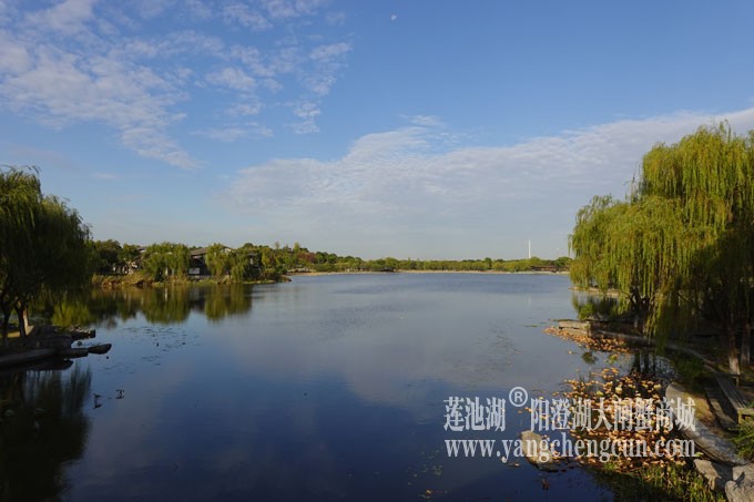 阳澄湖畔-莲池湖的早晨